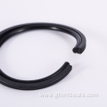 Double Lip Rubber FKM Viton Oil Seal Xingtai